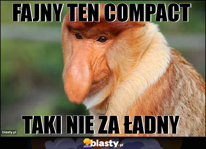 Fajny ten compact Fajny ten compact