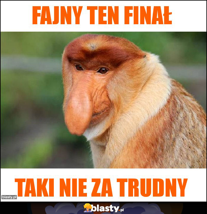 Fajny ten finał Fajny ten finał