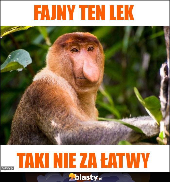 Fajny ten LEK Fajny ten LEK