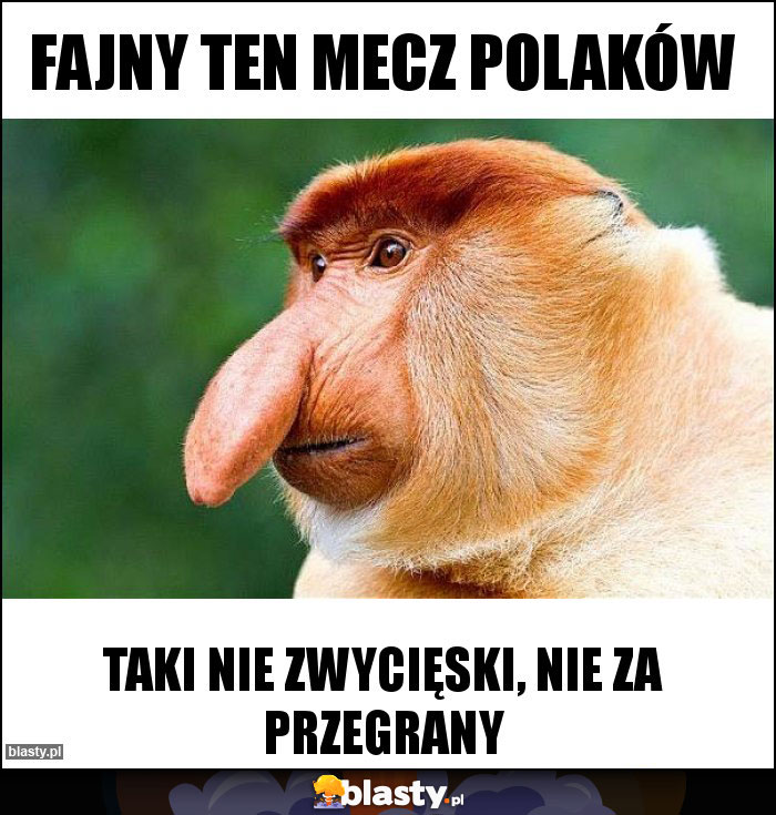 Fajny ten mecz polaków Fajny ten mecz polaków