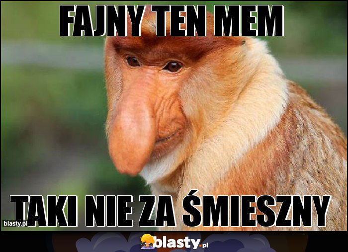 Fajny ten mem Fajny ten mem