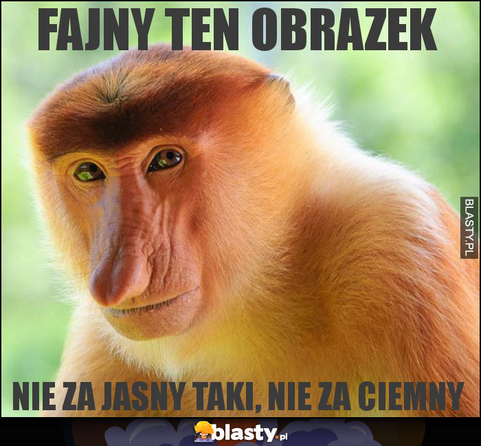 FAJNY TEN OBRAZEK FAJNY TEN OBRAZEK