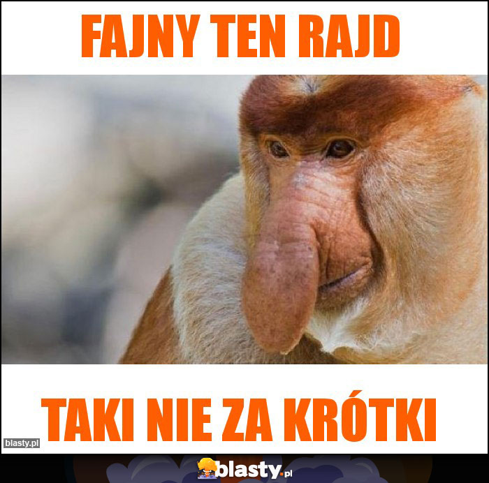 Fajny ten rajd Fajny ten rajd
