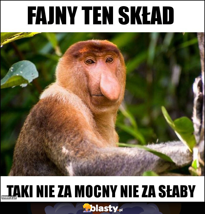 Fajny ten skład Fajny ten skład