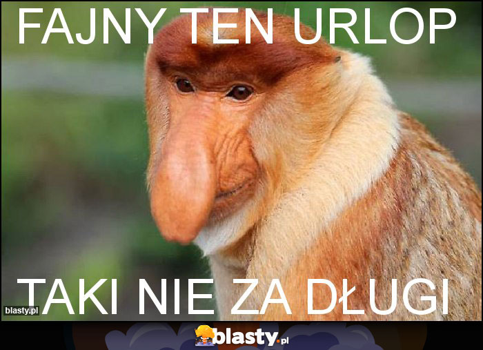Fajny ten urlop Fajny ten urlop
