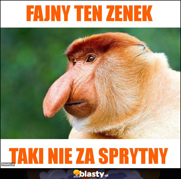 Fajny ten Zenek Fajny ten Zenek