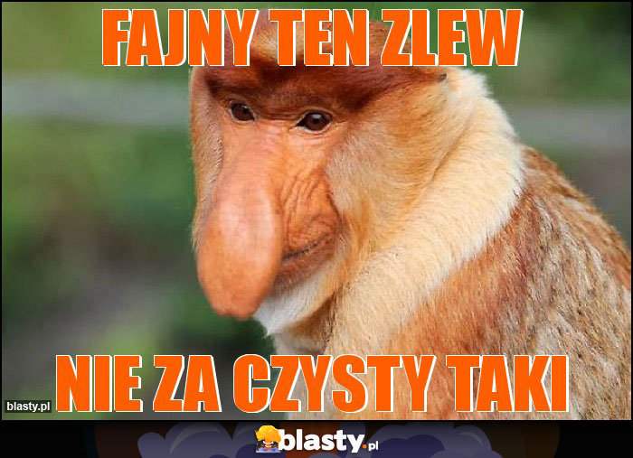 Fajny ten zlew Fajny ten zlew