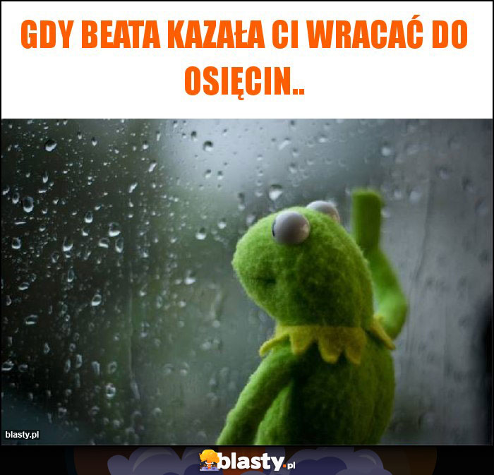 Gdy Beata kazała Ci wracać do Osięcin.. Gdy Beata kazała Ci wracać do Osięcin..