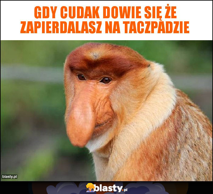 Gdy cudak dowie się że zapierdalasz na taczpadzie Gdy cudak dowie się że zapierdalasz na taczpadzie