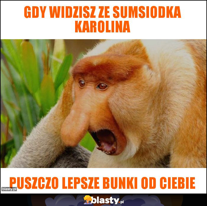 Gdy widzisz ze sumsiodka KAROLINA Gdy widzisz ze sumsiodka KAROLINA