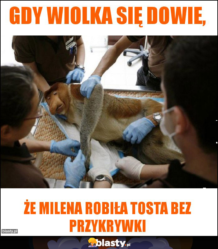 Gdy Wiolka się dowie, Gdy Wiolka się dowie,