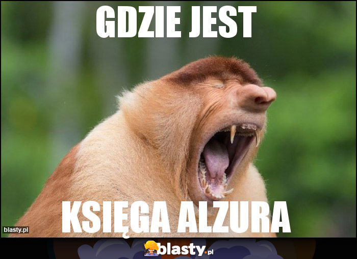 Gdzie jest Gdzie jest