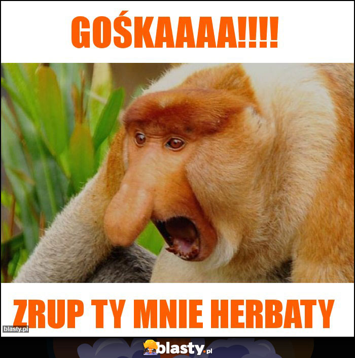 Gośkaaaa!!!! Gośkaaaa!!!!