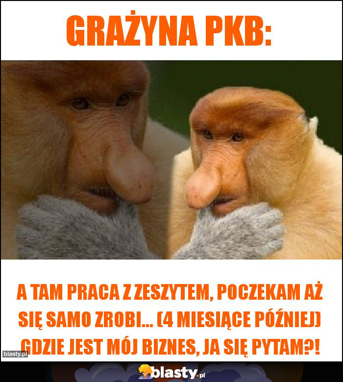 Grażyna pkb: Grażyna pkb: