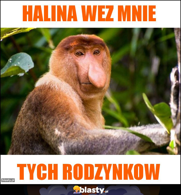 Halina wez mnie Halina wez mnie