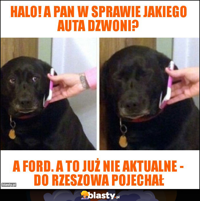 Halo! A Pan w sprawie jakiego auta dzwoni? Halo! A Pan w sprawie jakiego auta dzwoni?