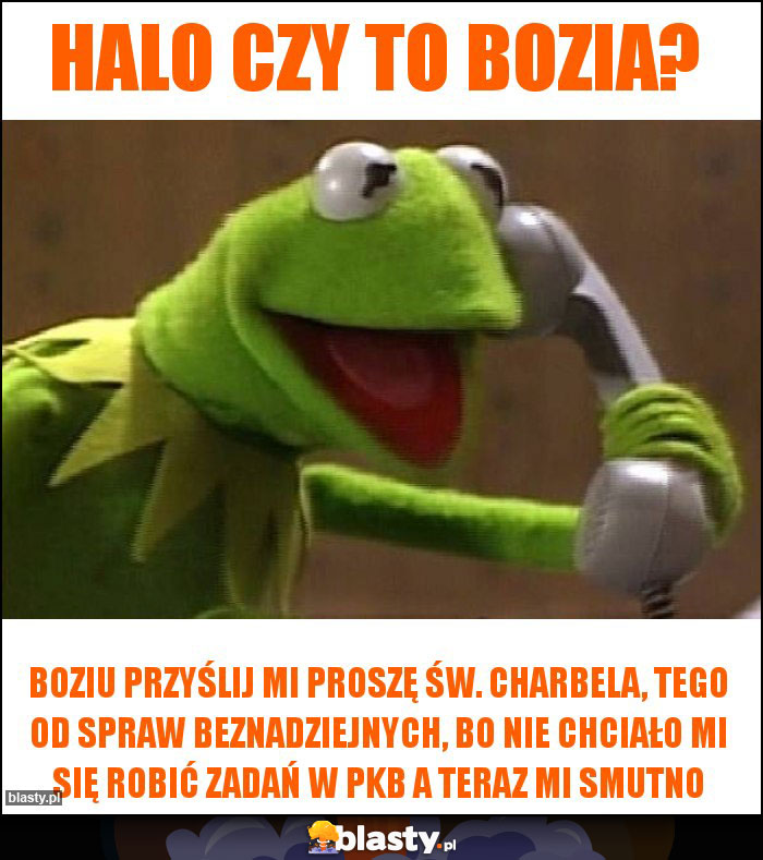 Halo czy to bozia? Halo czy to bozia?