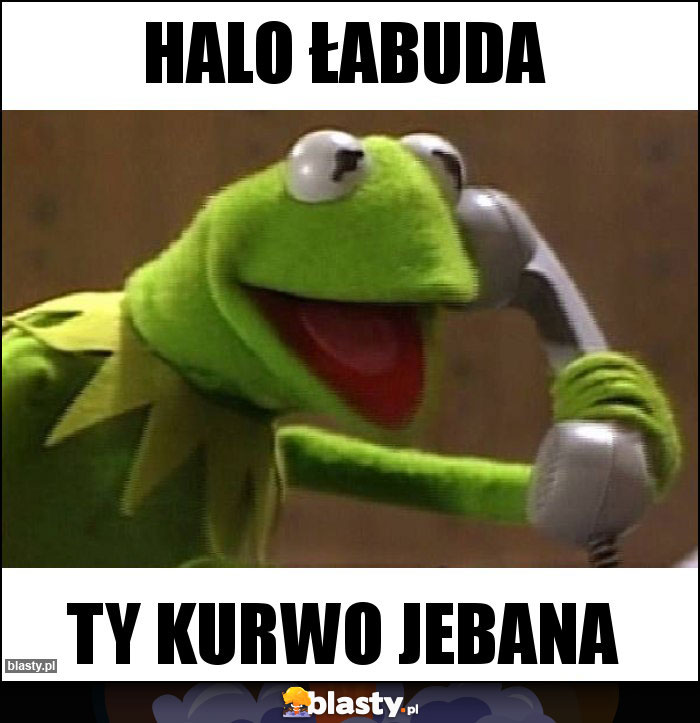 HALO ŁABUDA HALO ŁABUDA