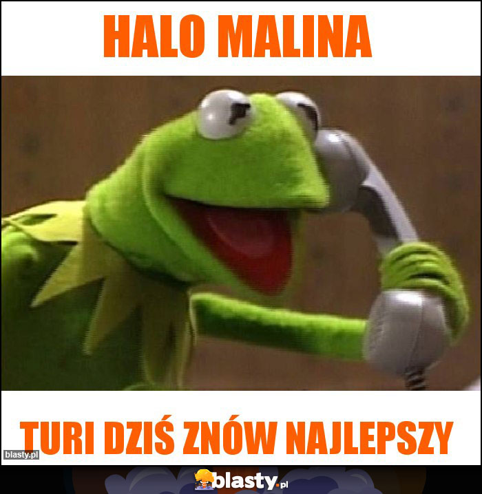 Halo Malina Halo Malina