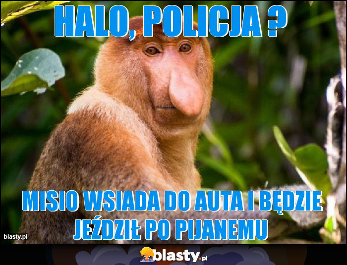 Halo, Policja ? Halo, Policja ?