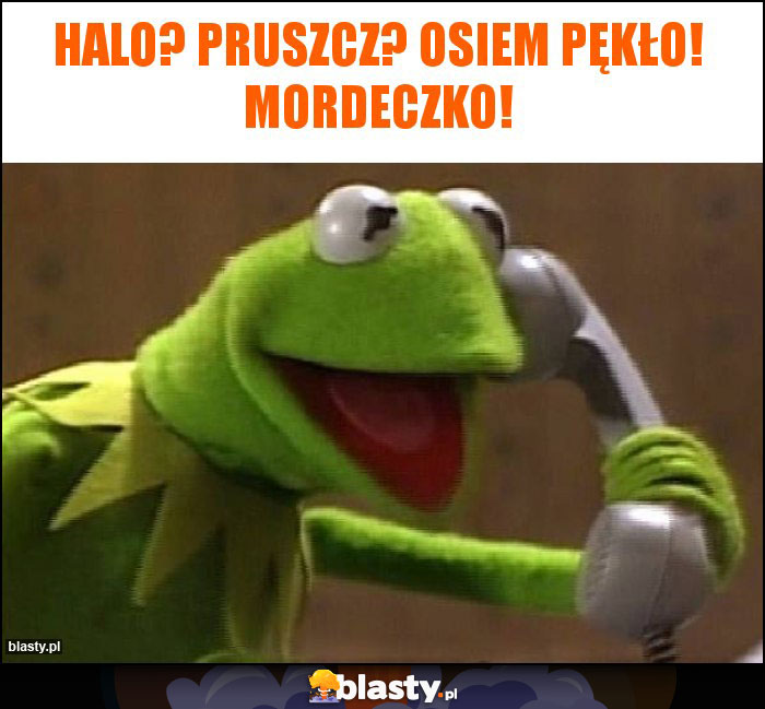 Halo? Pruszcz? Osiem pękło! Mordeczko! Halo? Pruszcz? Osiem pękło! Mordeczko!