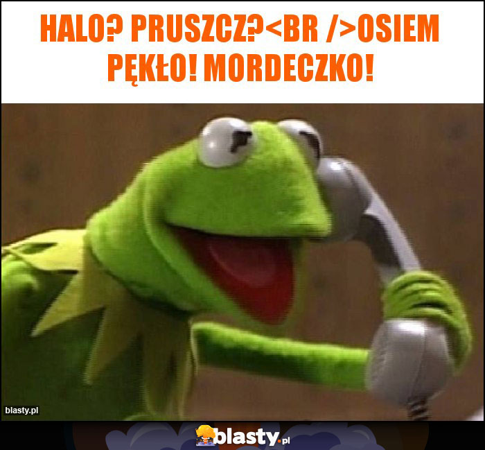 Halo? Pruszcz?
Osiem pękło! Mordeczko! Halo? Pruszcz?
Osiem pękło! Mordeczko!