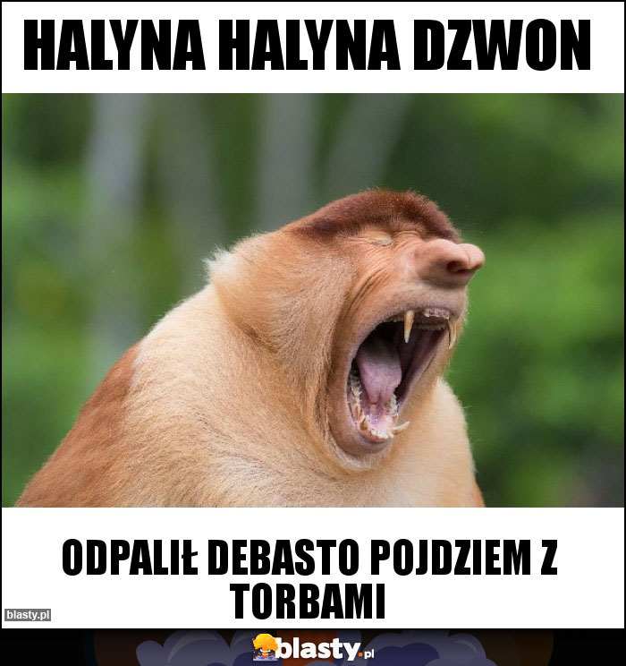halyna halyna dzwon halyna halyna dzwon