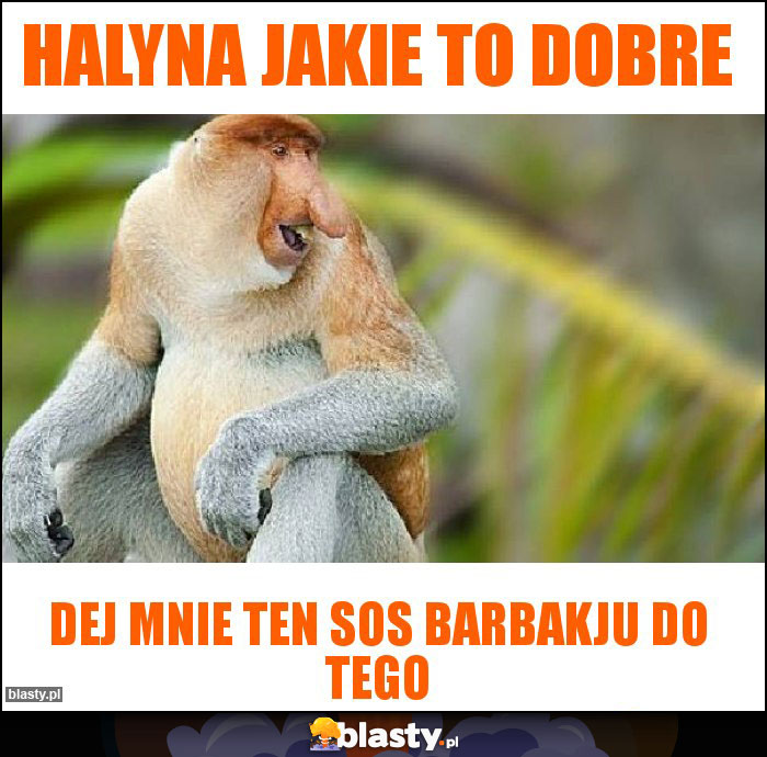 Halyna JAKIE to dobre Halyna JAKIE to dobre