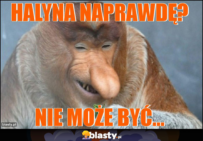 Halyna naprawdę? Halyna naprawdę?
