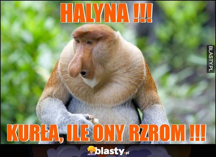 Halyna !!! Halyna !!!