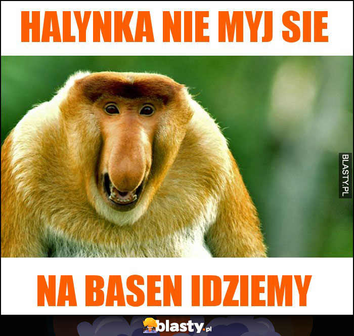 HALYNKA NIE MYJ SIE HALYNKA NIE MYJ SIE