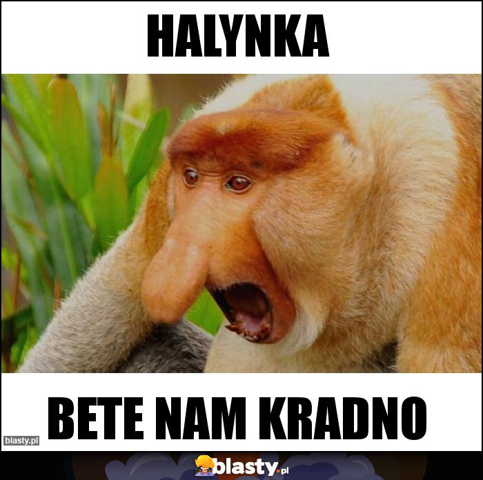 halynka