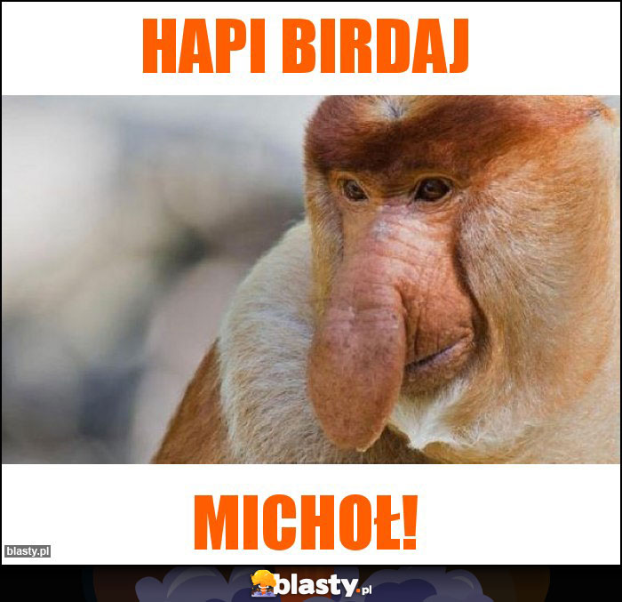 HAPI BIRDAJ HAPI BIRDAJ