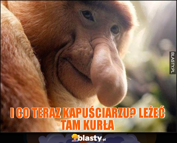 I co teraz Kapuściarzu? leżeć tam kurŁa I co teraz Kapuściarzu? leżeć tam kurŁa