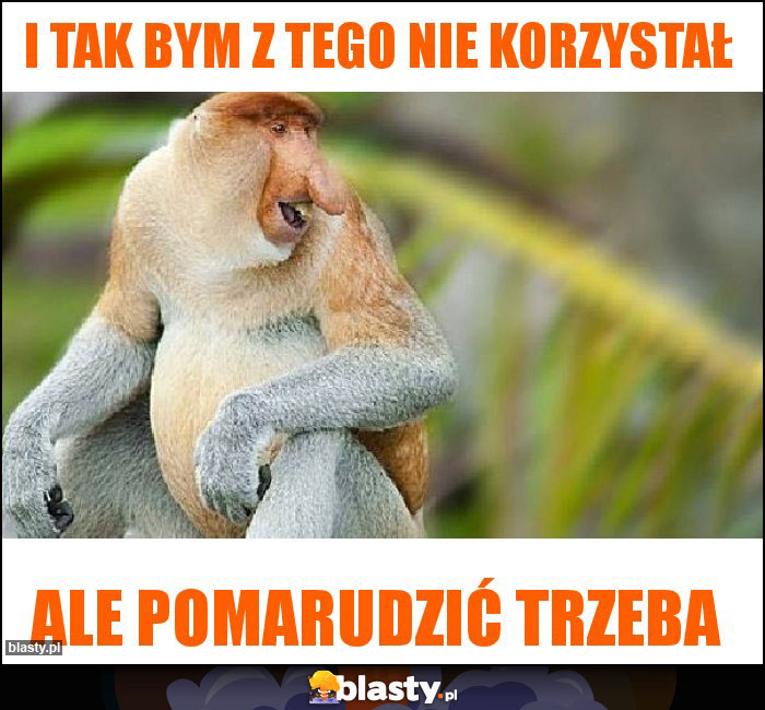 I tak bym z tego nie korzystał I tak bym z tego nie korzystał