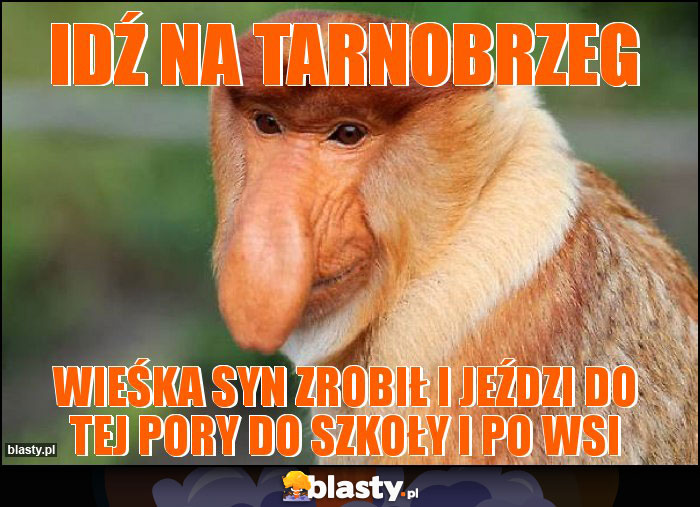 Idź na tarnobrzeg Idź na tarnobrzeg