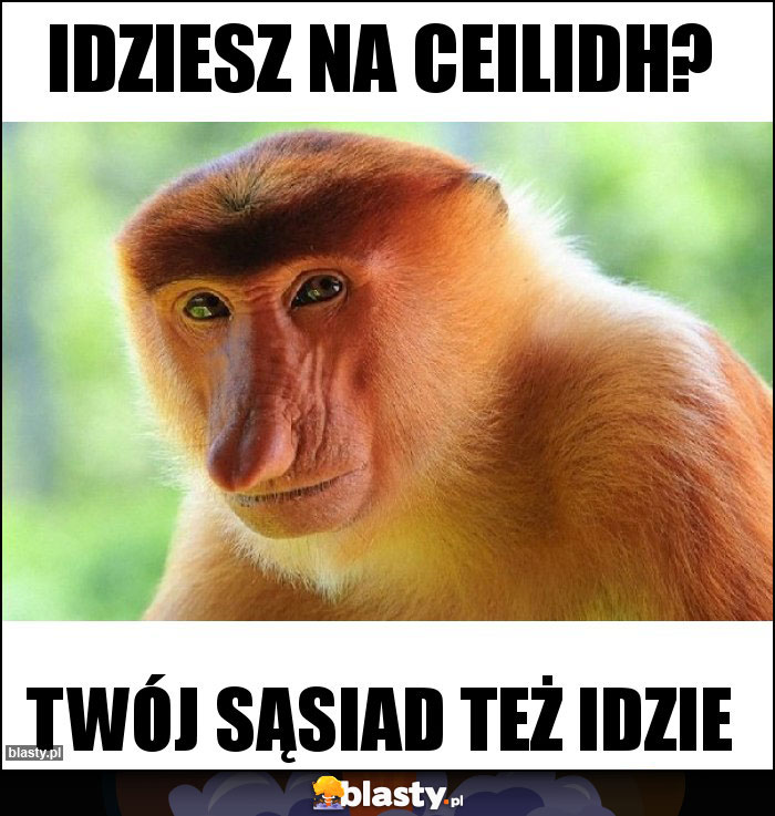 Idziesz na Ceilidh? Idziesz na Ceilidh?