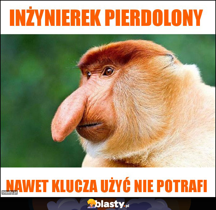 Inżynierek pierdolony Inżynierek pierdolony