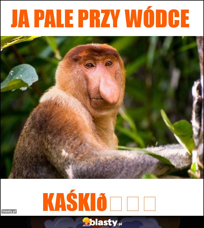Ja pale przy wódce Ja pale przy wódce