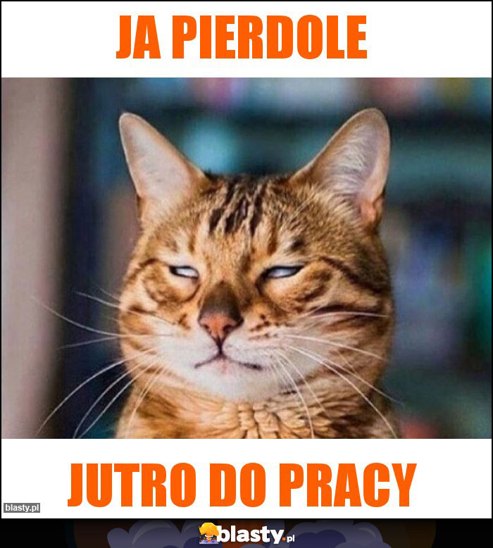 Ja pierdole Ja pierdole