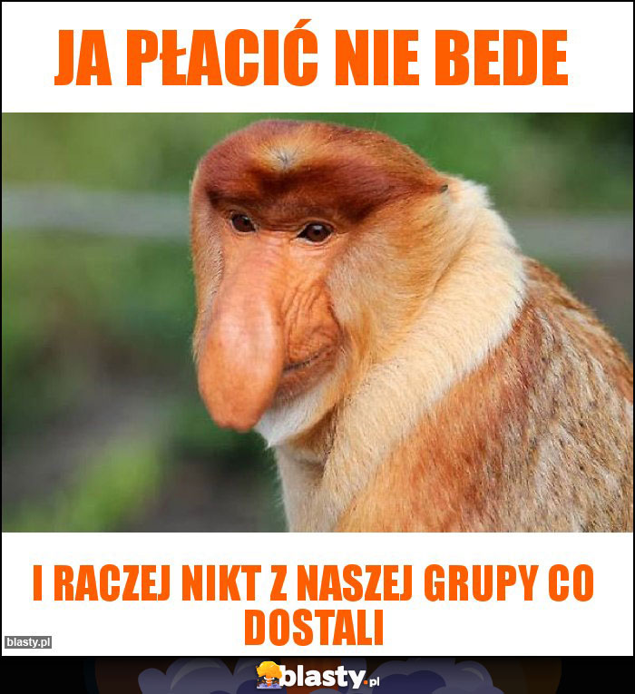Ja płacić nie bede Ja płacić nie bede