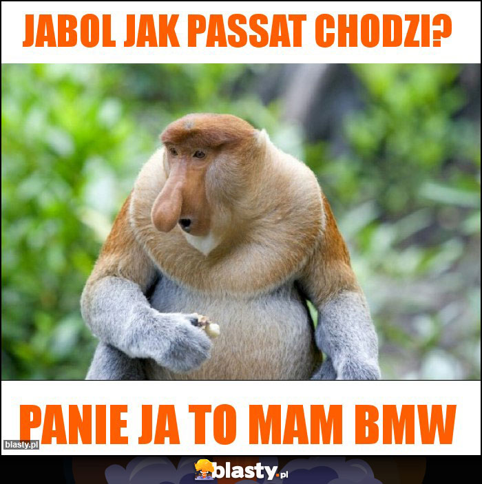 Jabol jak passat chodzi?