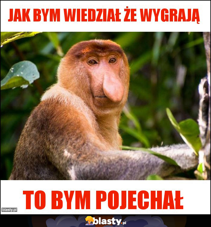 Jak bym wiedział że wygrają Jak bym wiedział że wygrają