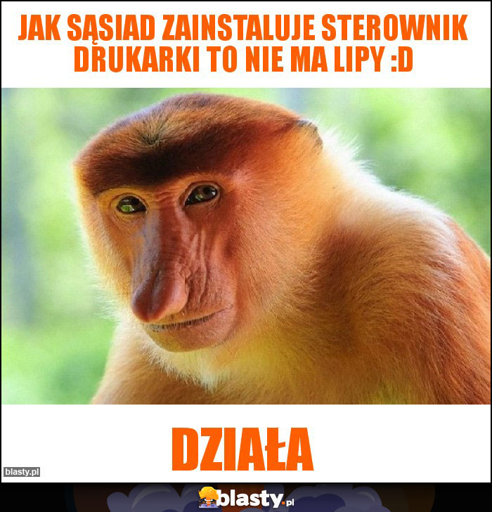 Jak sąsiad zainstaluje sterownik drukarki to nie ma lipy :D Jak sąsiad zainstaluje sterownik drukarki to nie ma lipy :D
