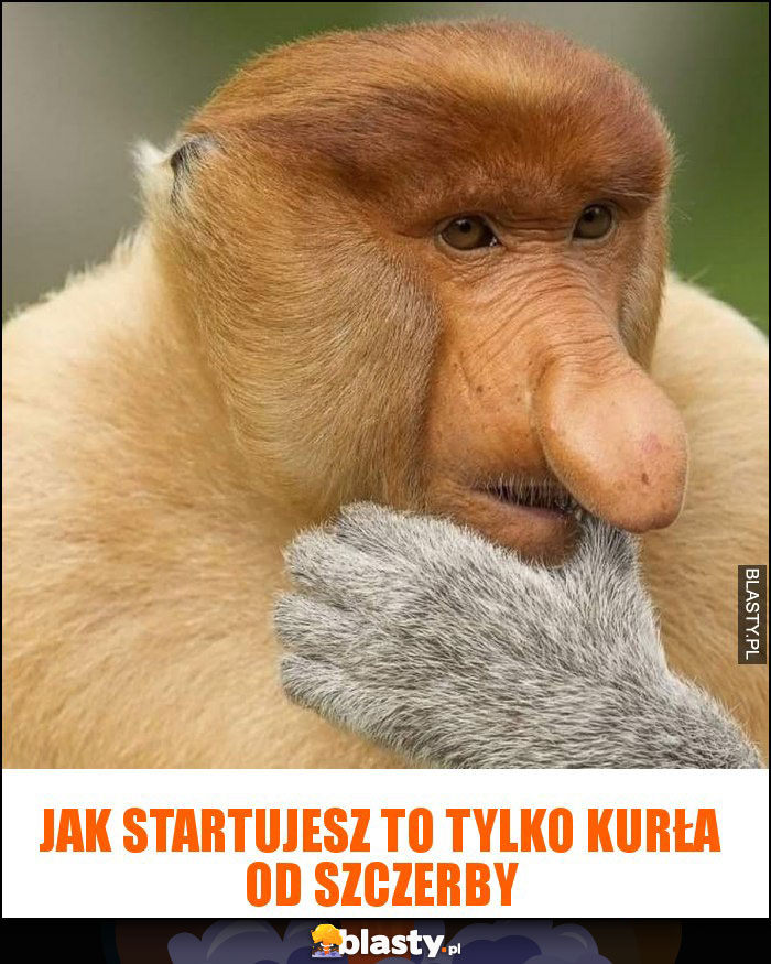 Jak startujesz to tylko KURŁA od SZCZERBY Jak startujesz to tylko KURŁA od SZCZERBY