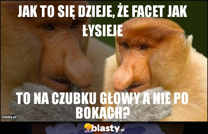 Jak to się dzieje, że facet jak łysieje Jak to się dzieje, że facet jak łysieje