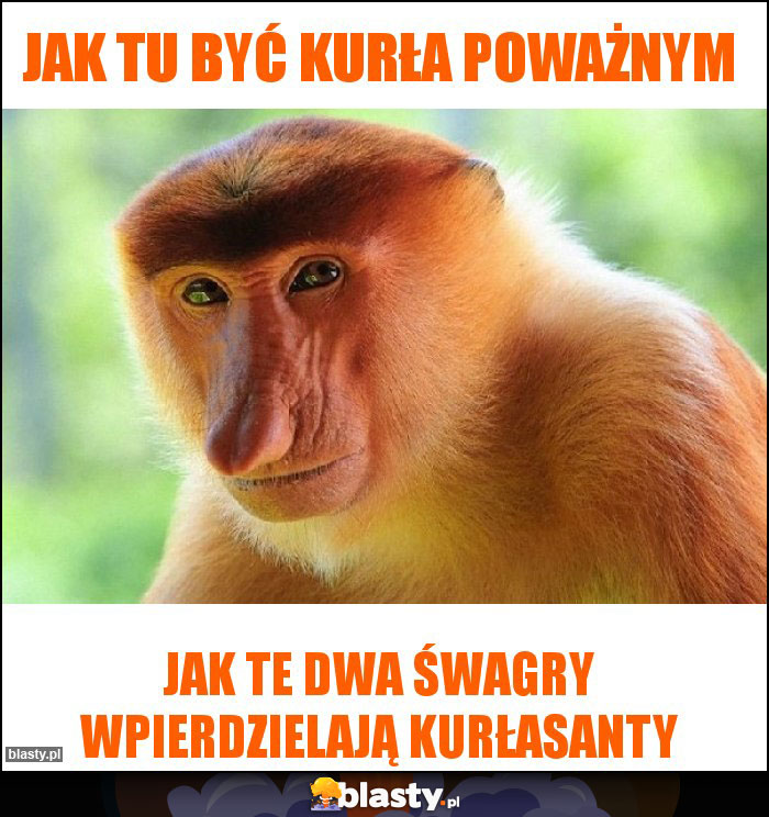 Jak tu być kurła poważnym Jak tu być kurła poważnym