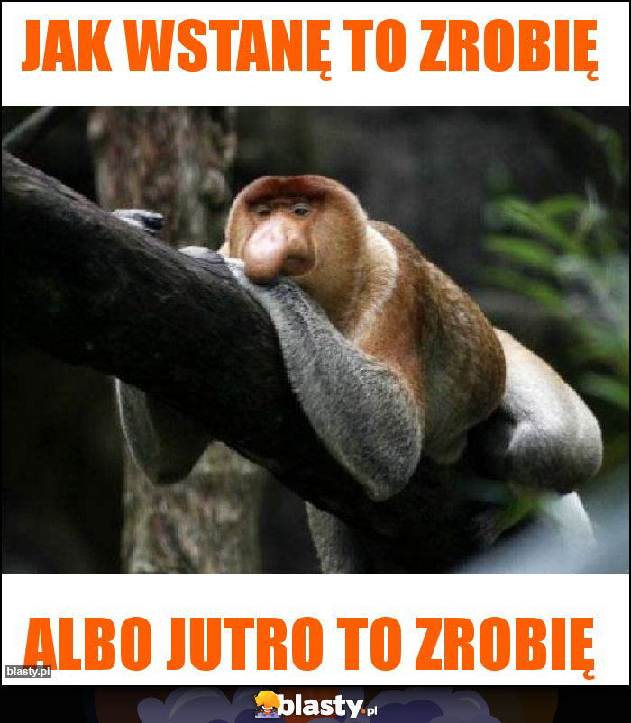 Jak wstanę to zrobię