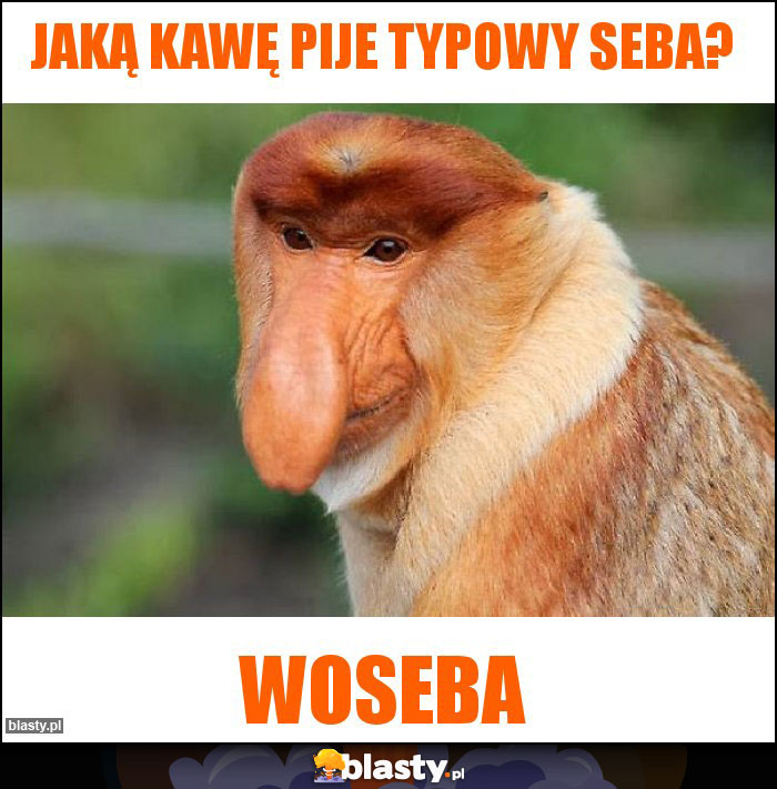 Jaką kawę pije typowy Seba? Jaką kawę pije typowy Seba?