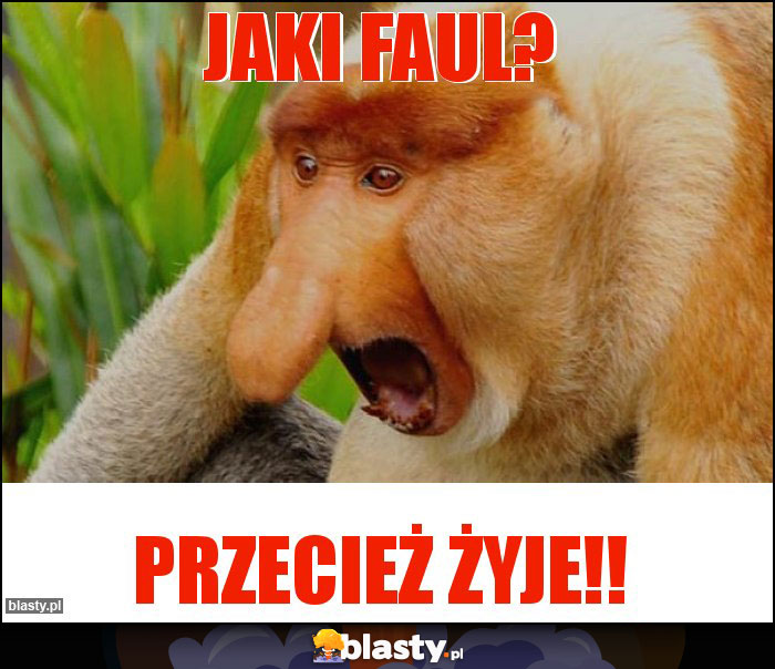 Jaki faul? Jaki faul?